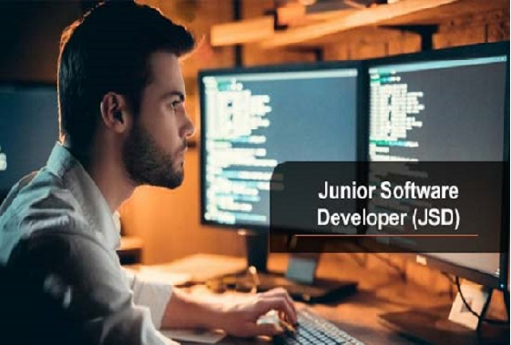 Certificate in Junior Software Developer